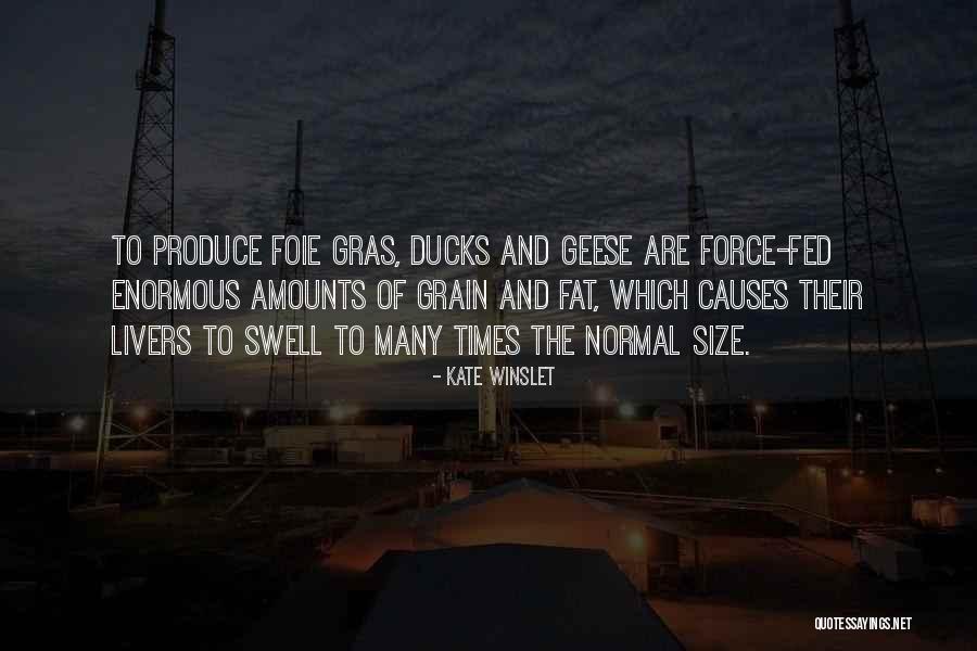 Ducks Quotes By Kate Winslet Ducks Quotes By Kate Winslet