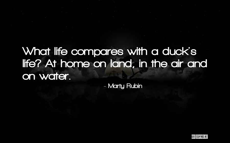 Ducks Quotes By Marty Rubin