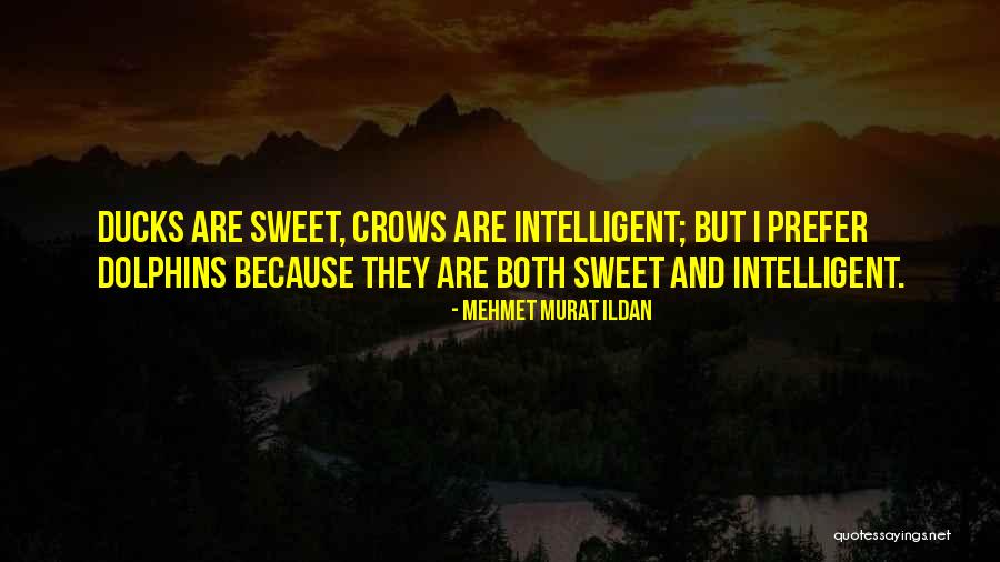 Ducks Quotes By Mehmet Murat Ildan Ducks Quotes By Mehmet Murat Ildan