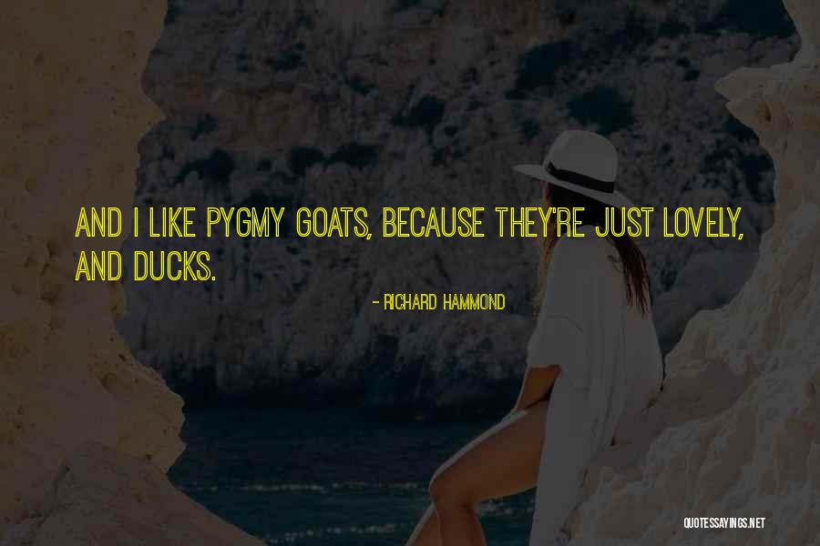 Ducks Quotes By Richard Hammond