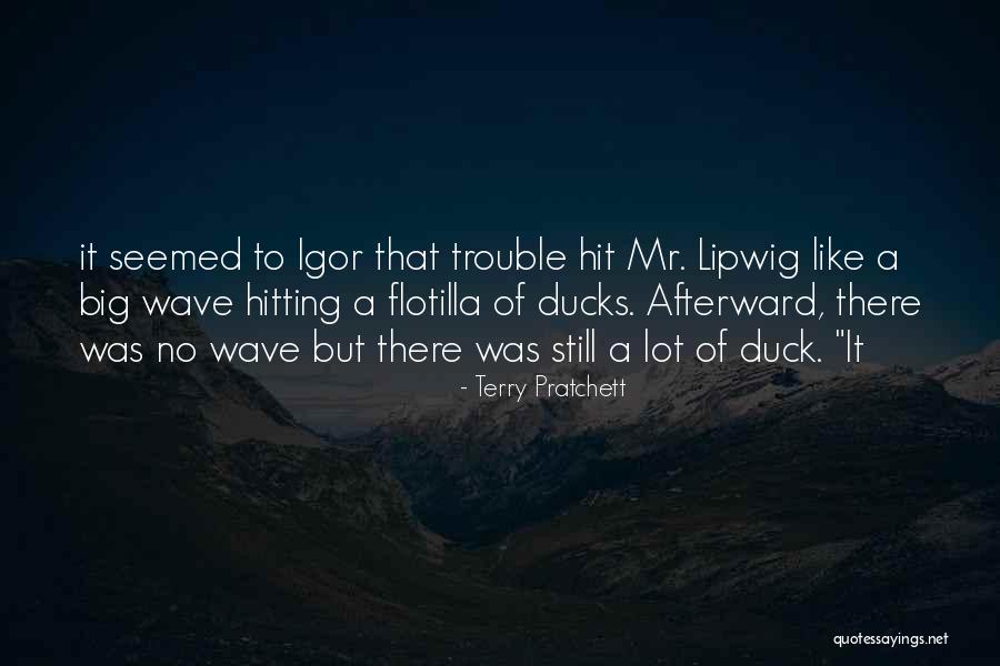 Ducks Quotes By Terry Pratchett Ducks Quotes By Terry Pratchett