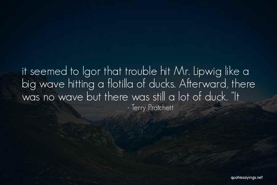 Ducks Quotes By Terry Pratchett