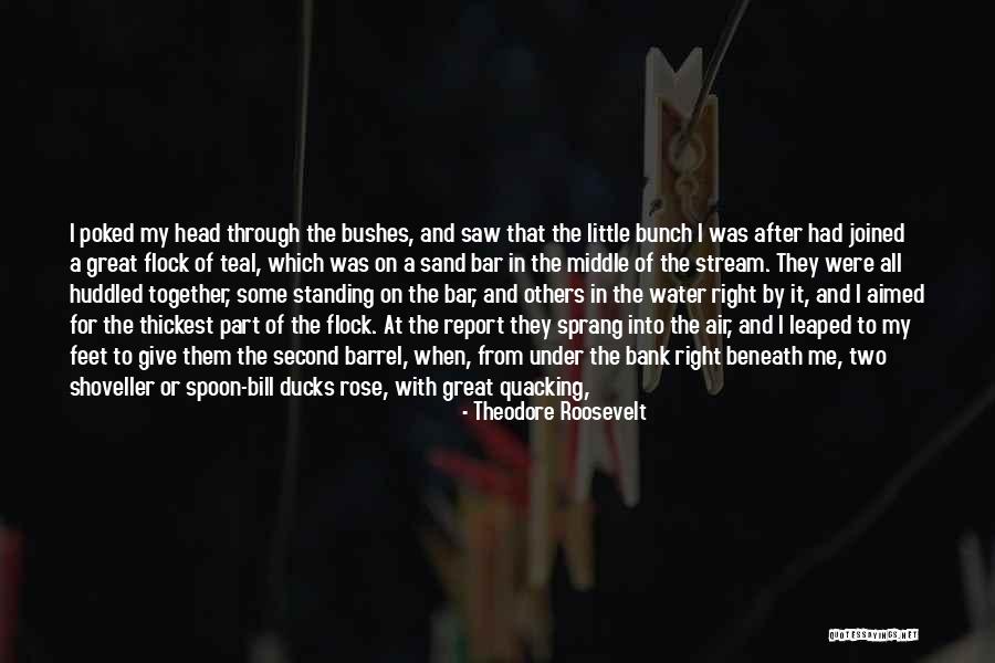 Ducks Quotes By Theodore Roosevelt