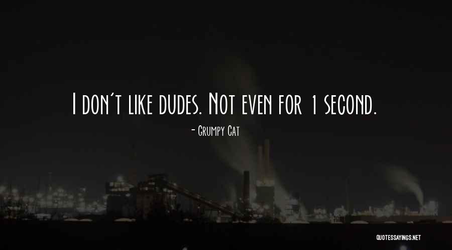 Dudes Quotes By Grumpy Cat