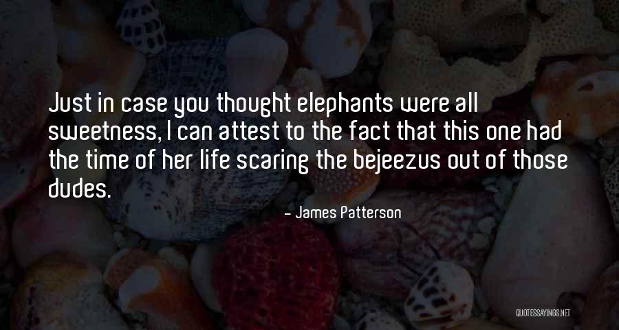 Dudes Quotes By James Patterson Dudes Quotes By James Patterson