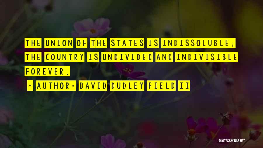 Dudley O'shaughnessy Quotes By David Dudley Field II