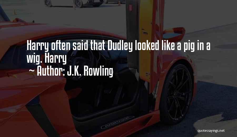 Dudley O'shaughnessy Quotes By J.K. Rowling