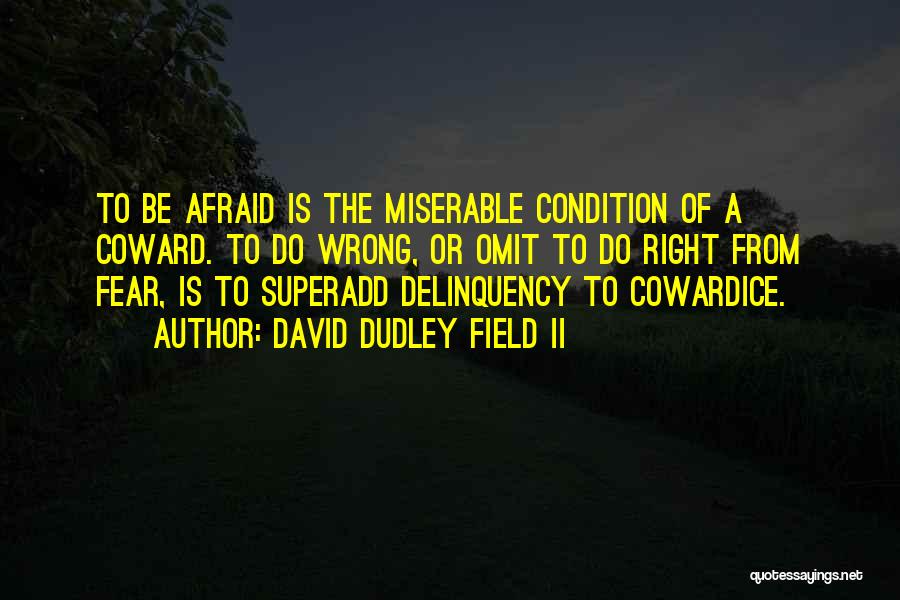 Dudley Quotes By David Dudley Field II