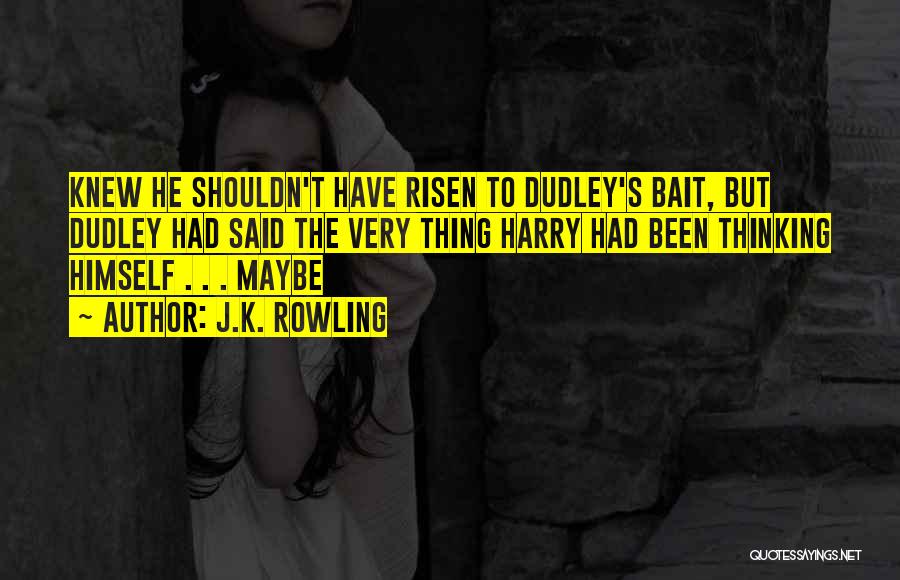 Dudley Quotes By J.K. Rowling