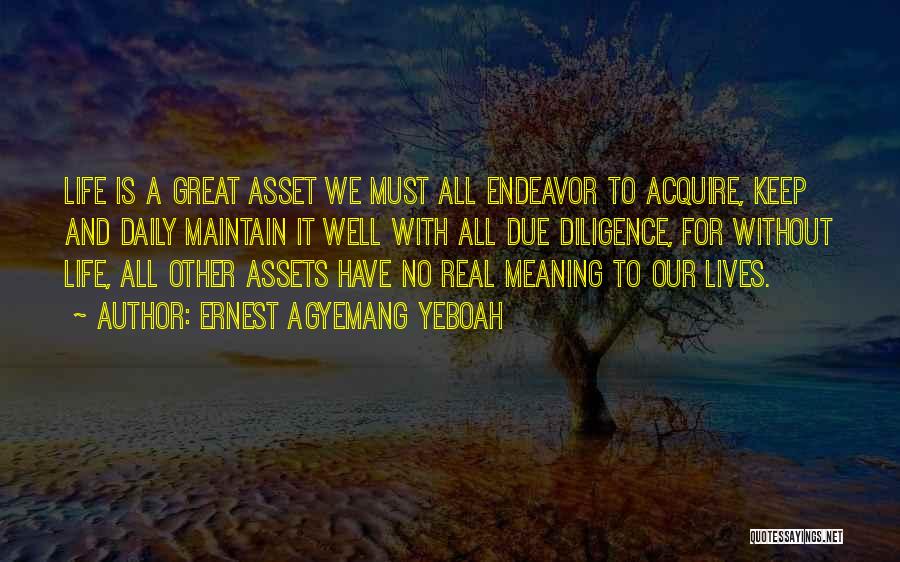 Due Diligence Quotes By Ernest Agyemang Yeboah