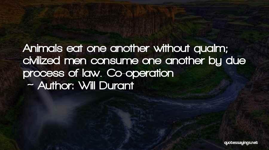 Due Process Law Quotes By Will Durant