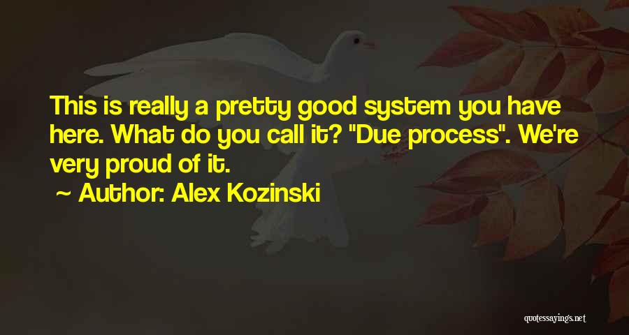 Due Process Quotes By Alex Kozinski