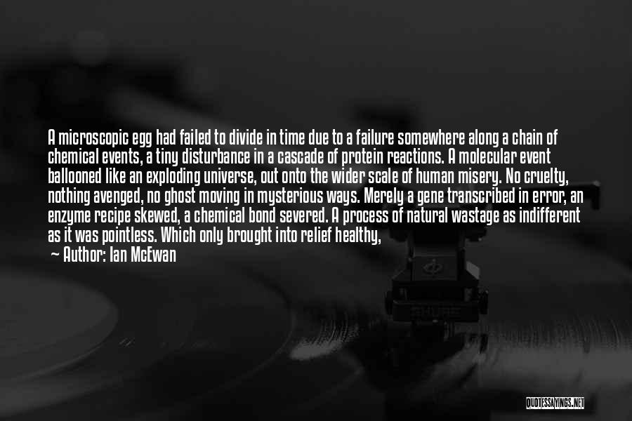 Due Process Quotes By Ian McEwan