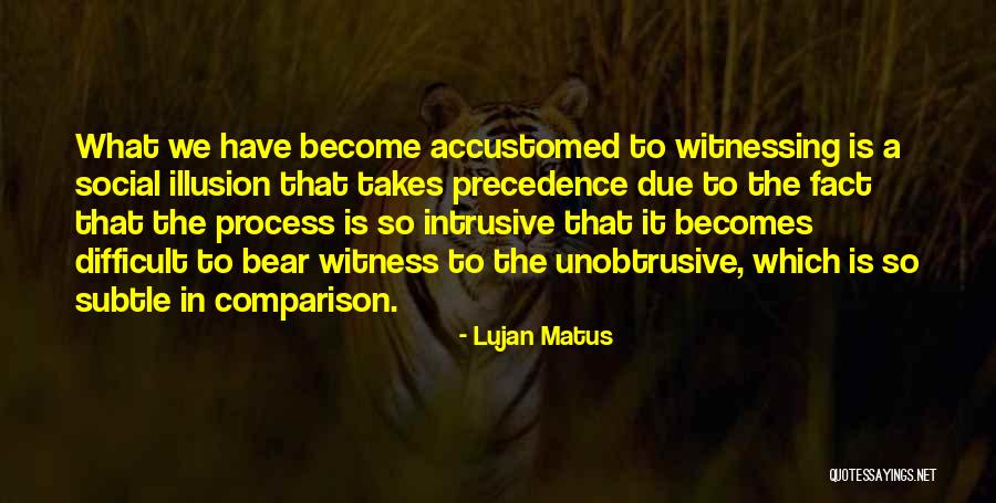 Due Process Quotes By Lujan Matus