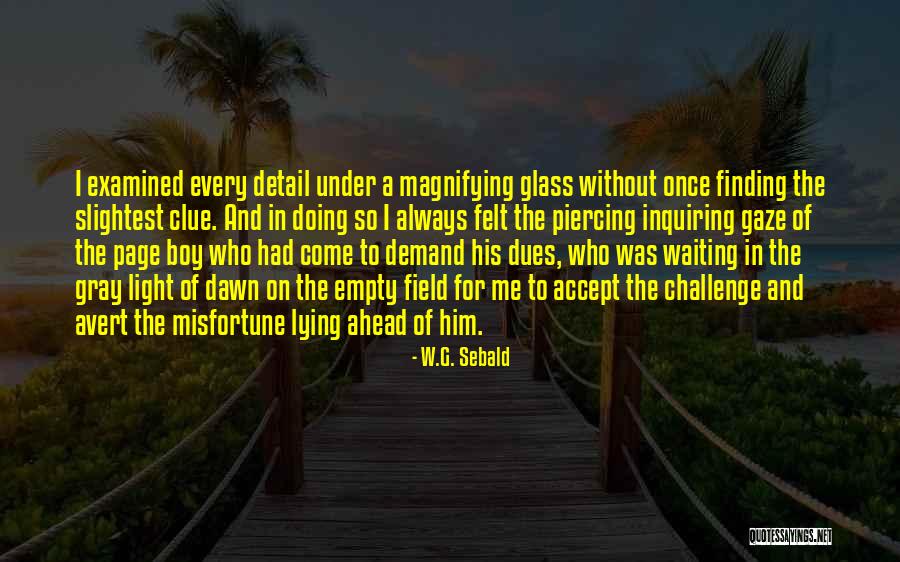 Dues Quotes By W.G. Sebald Dues Quotes By W.G. Sebald
