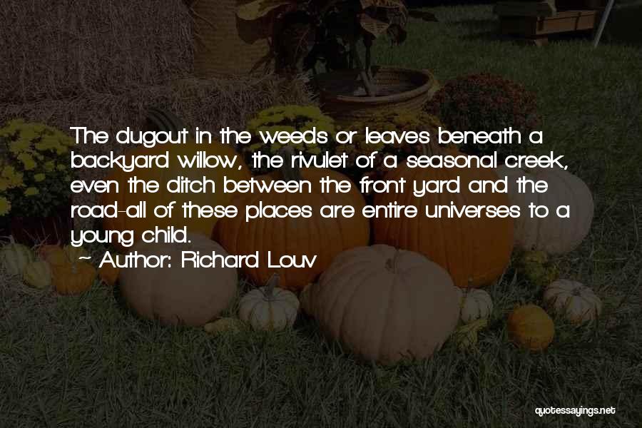 Dugout Quotes By Richard Louv