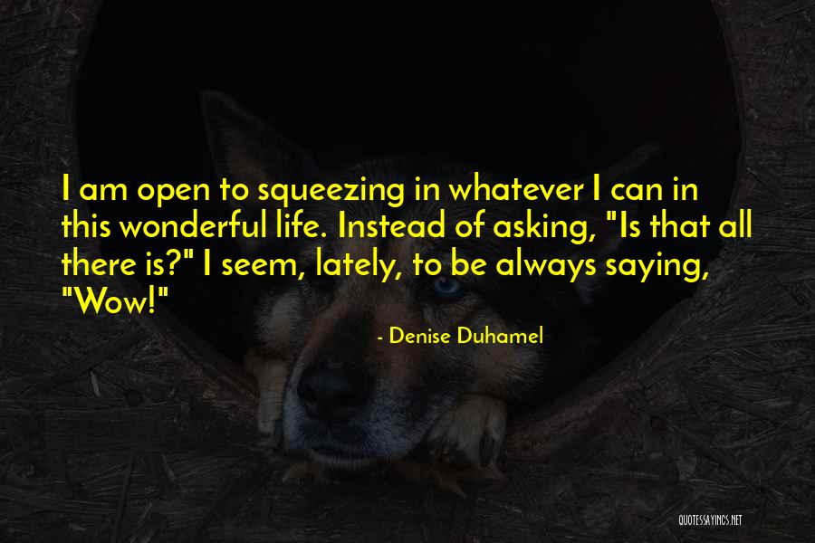 Duhamel Quotes By Denise Duhamel Duhamel Quotes By Denise Duhamel