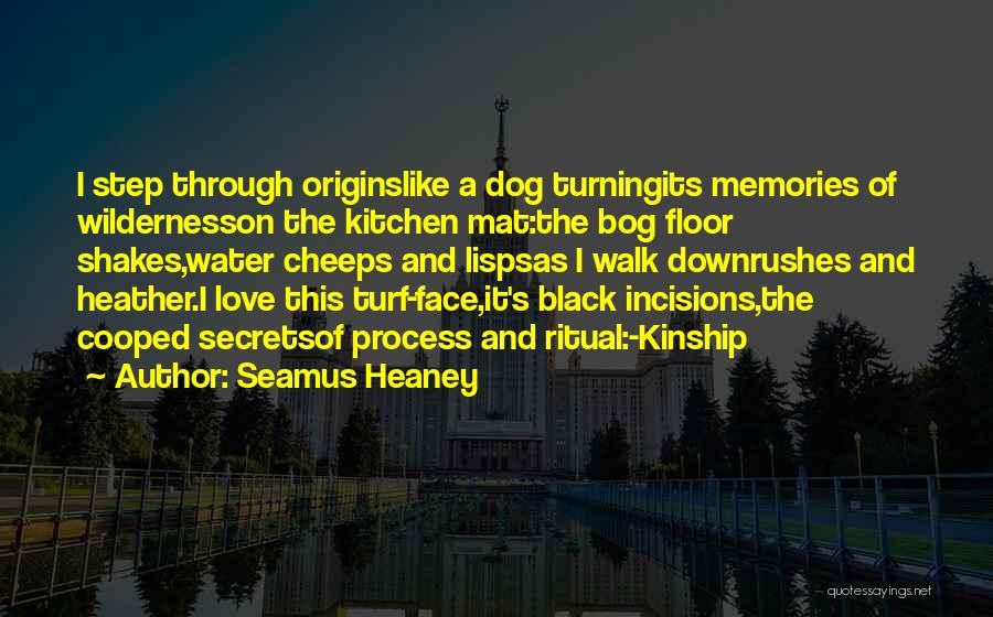 Duhovno Obhajilo Quotes By Seamus Heaney