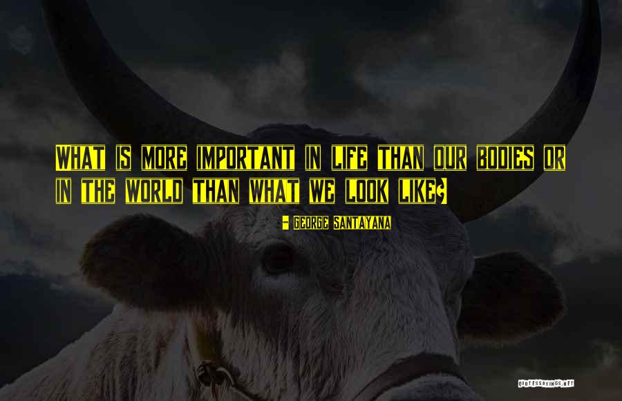 Duifjes Recept Quotes By George Santayana Duifjes Recept Quotes By George Santayana