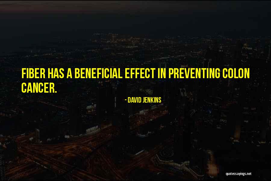Duineveld Punte Quotes By David Jenkins Duineveld Punte Quotes By David Jenkins