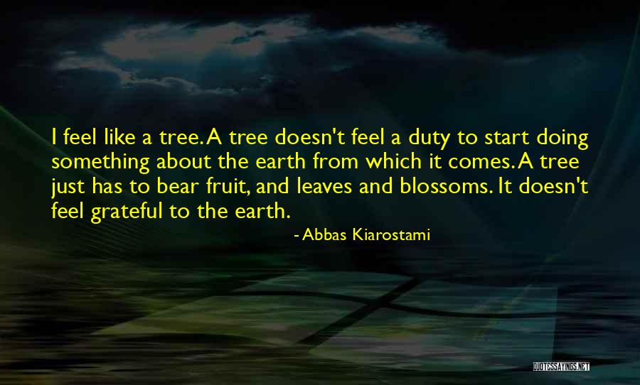 Dujay Bird Quotes By Abbas Kiarostami Dujay Bird Quotes By Abbas Kiarostami