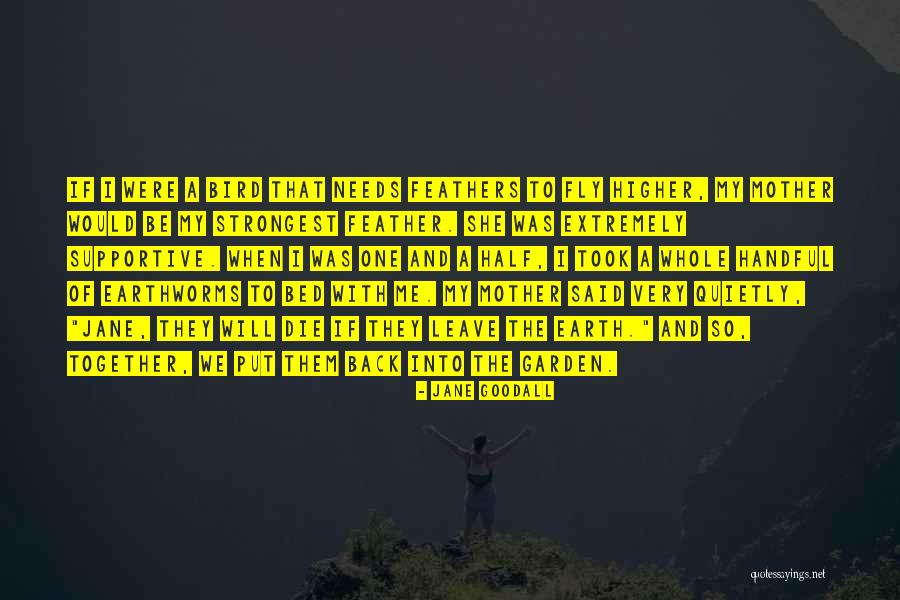 Dujmovich Quotes By Jane Goodall