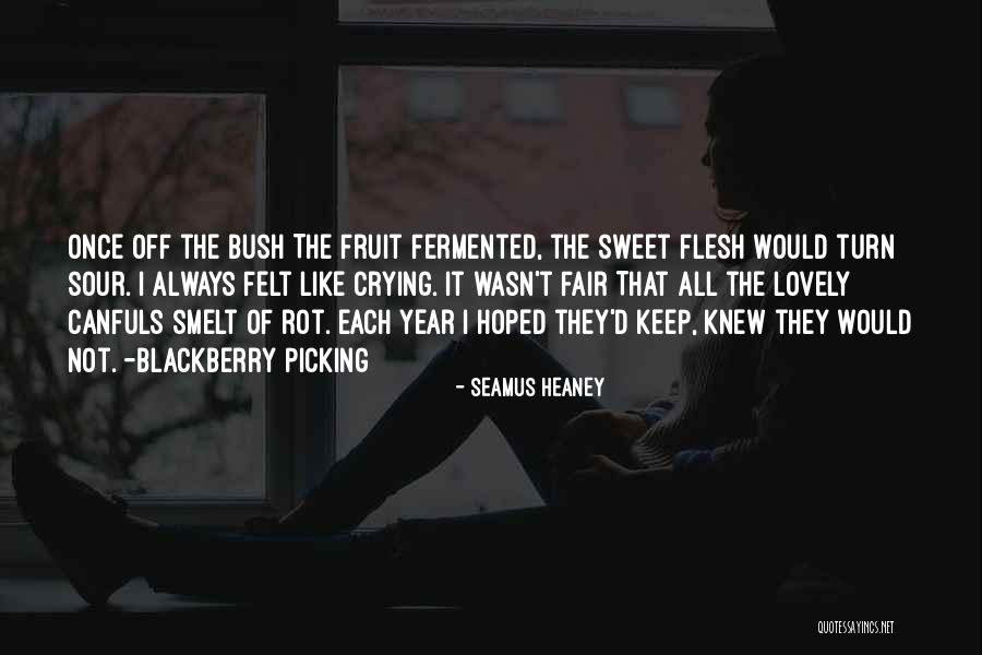 Dujuan Daniels Quotes By Seamus Heaney Dujuan Daniels Quotes By Seamus Heaney