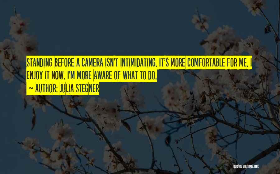 Dulcineea Quotes By Julia Stegner