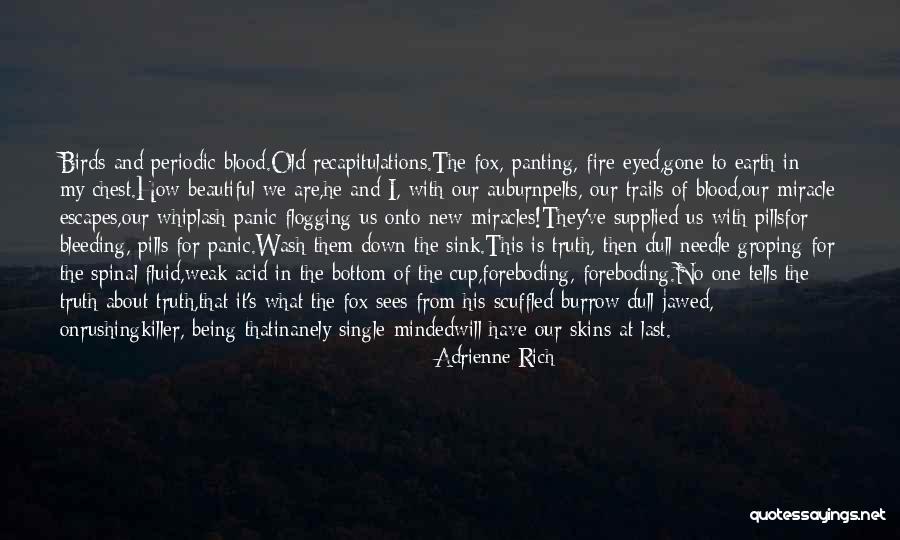Dull Eyed Quotes By Adrienne Rich Dull Eyed Quotes By Adrienne Rich