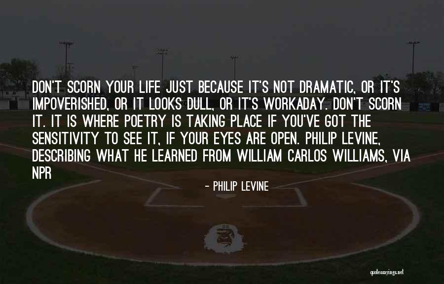 Dull Quotes By Philip Levine Dull Quotes By Philip Levine