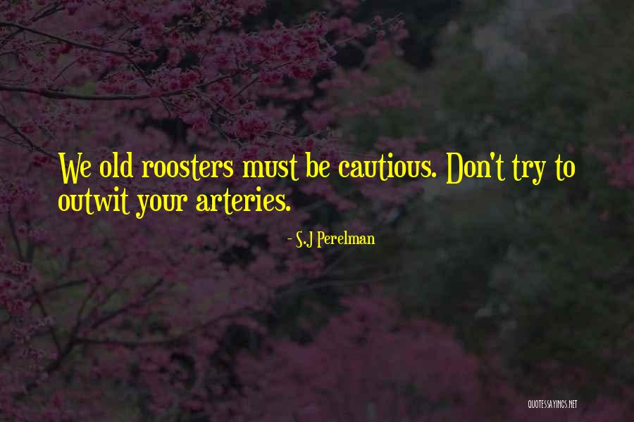 Duller Unscramble Quotes By S.J Perelman Duller Unscramble Quotes By S.J Perelman