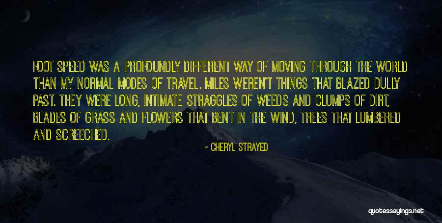 Dully Quotes By Cheryl Strayed Dully Quotes By Cheryl Strayed