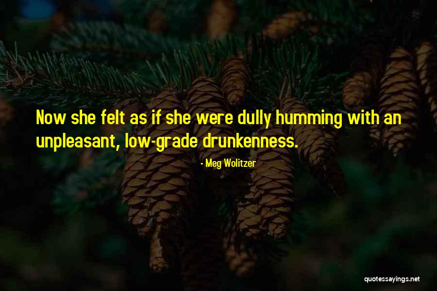 Dully Quotes By Meg Wolitzer Dully Quotes By Meg Wolitzer