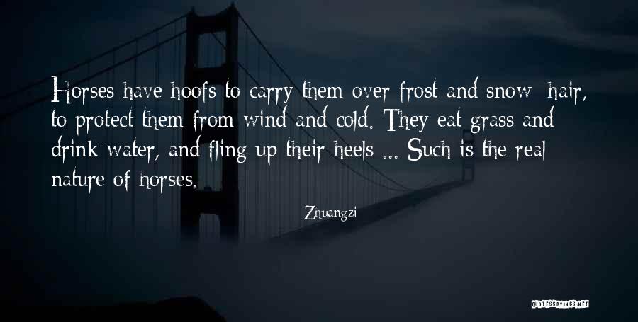 Dulot 20 Quotes By Zhuangzi Dulot 20 Quotes By Zhuangzi
