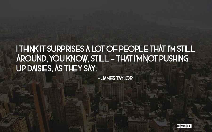 Dulovce Quotes By James Taylor Dulovce Quotes By James Taylor