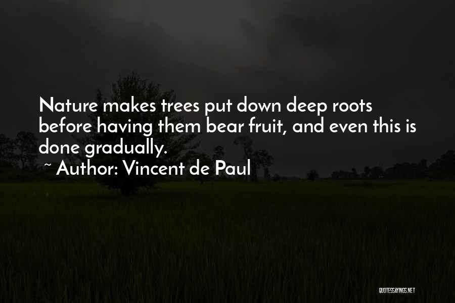Dulude Arena Quotes By Vincent De Paul