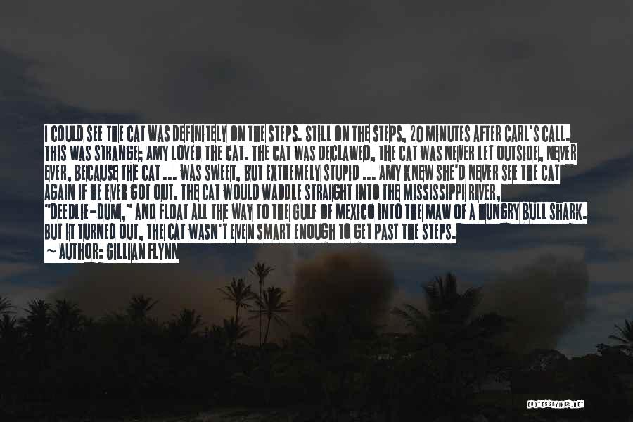 Dum Dum Quotes By Gillian Flynn