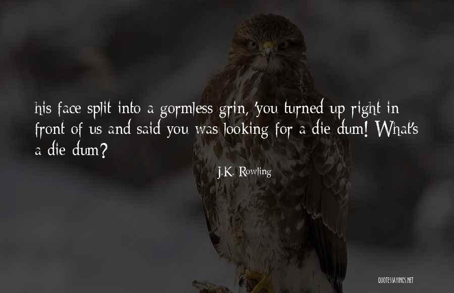Dum Dum Quotes By J.K. Rowling Dum Dum Quotes By J.K. Rowling