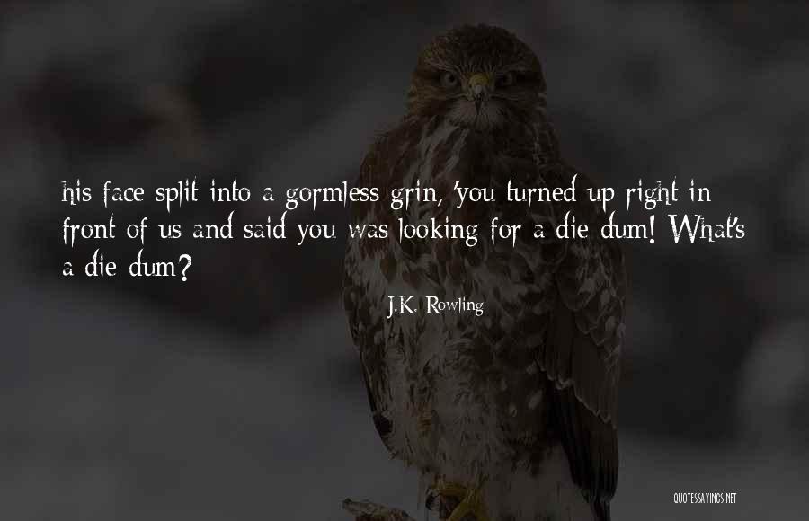 Dum Dum Quotes By J.K. Rowling