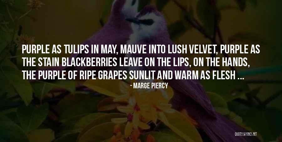 Duma Boko Quotes By Marge Piercy Duma Boko Quotes By Marge Piercy