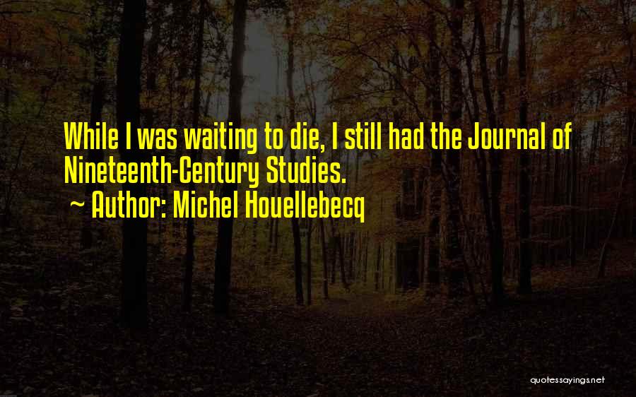 Dumaguing Quotes By Michel Houellebecq