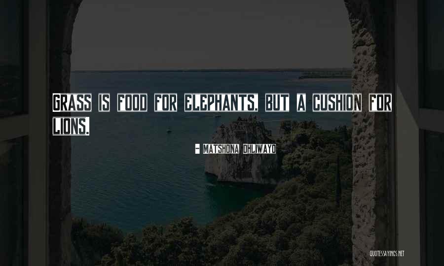 Dumami English Quotes By Matshona Dhliwayo Dumami English Quotes By Matshona Dhliwayo