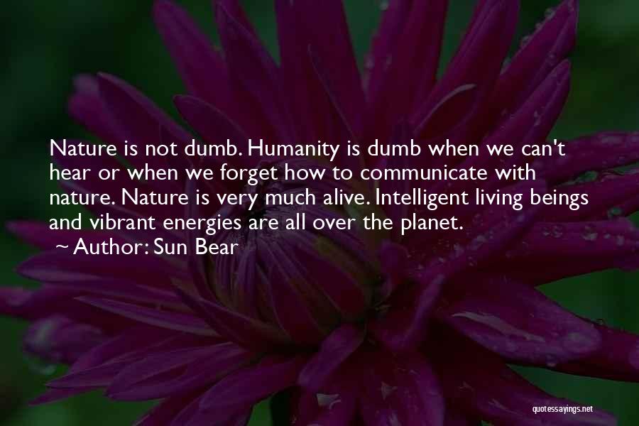 Dumb Beauty Quotes By Sun Bear