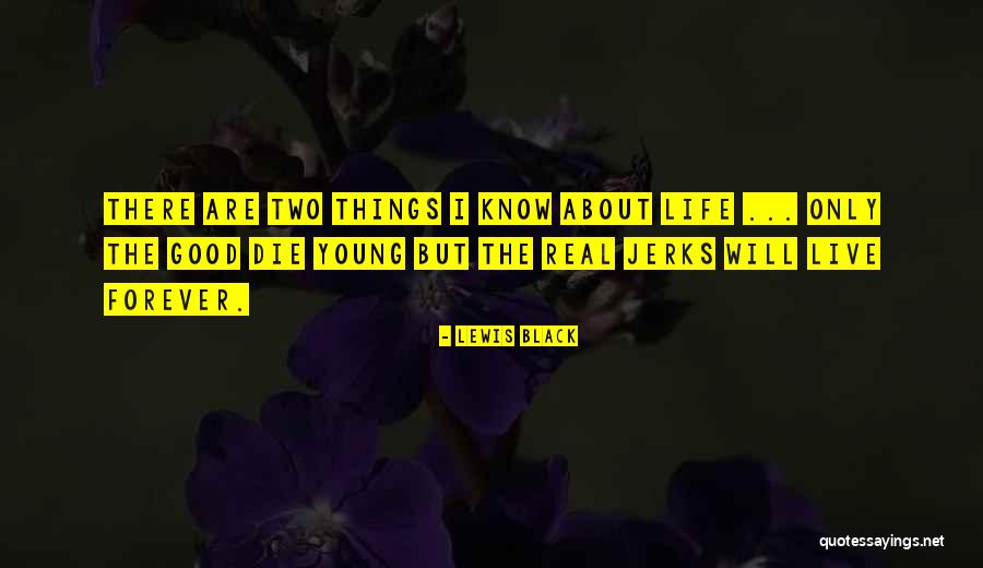 Dumb Footballers Quotes By Lewis Black Dumb Footballers Quotes By Lewis Black