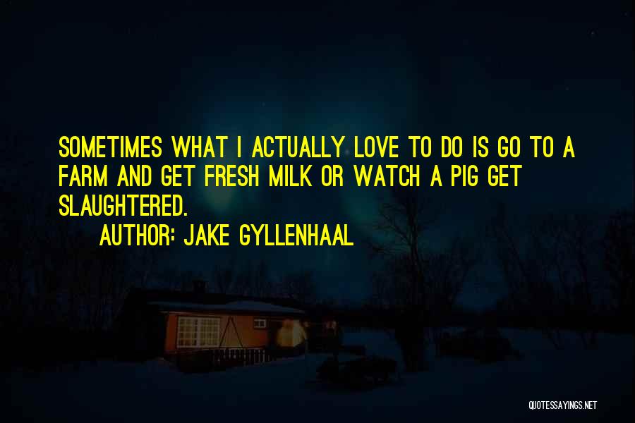 Dumb Funny Love Quotes By Jake Gyllenhaal