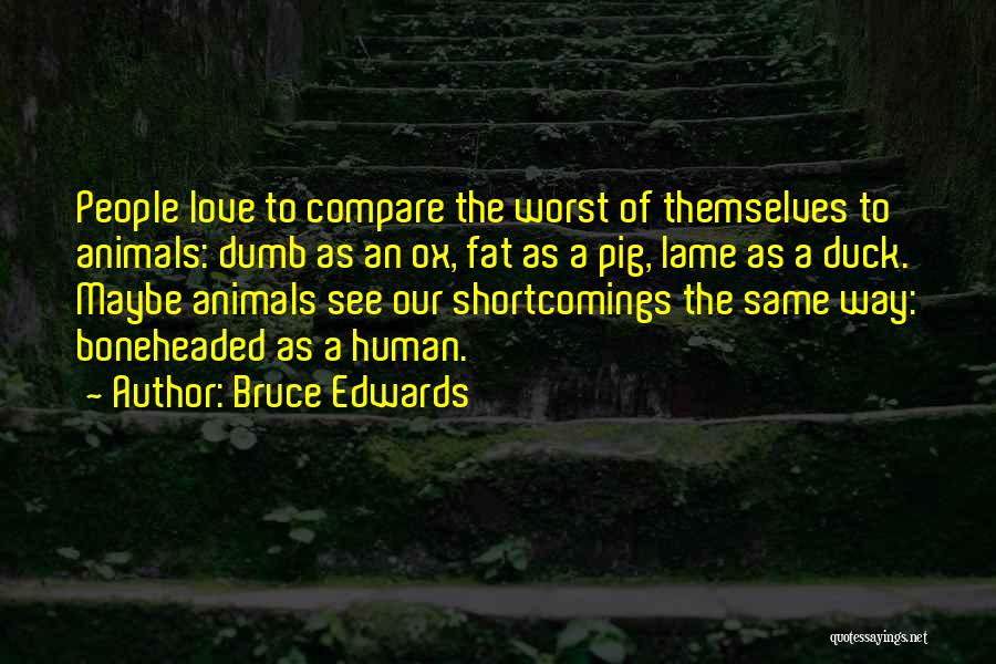 Dumb Love Quotes By Bruce Edwards