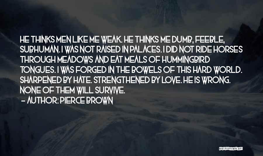 Dumb Love Quotes By Pierce Brown