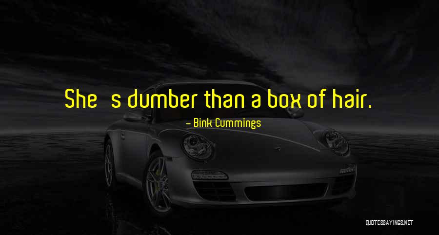 Dumber Than A Box Quotes By Bink Cummings
