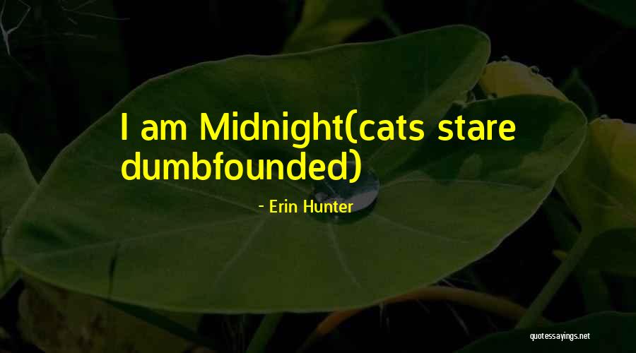 Dumbfounded Quotes By Erin Hunter