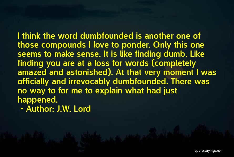 Dumbfounded Quotes By J.W. Lord